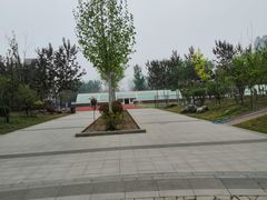 -郑州枫杨外国语学校