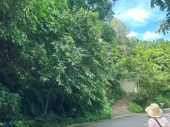 -广州市帽峰山景区