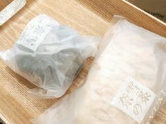 一颗榴莲-奈雪的茶(天河城店)