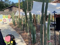 -MOJ coffee(瓯海泽雅水碓坑店)