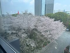-苏州独墅湖世尊酒店