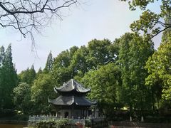 -习家池