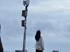-广东惠东海龟国家级自然保护区