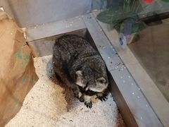 -昆明大悦城未来动物城(螺蛳湾中心店)