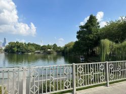 -小鲤鱼寻宝记·AR亲子户外剧本闯关(广州东山湖公园店)