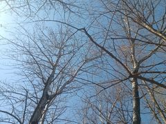 -白水寺森林公园
