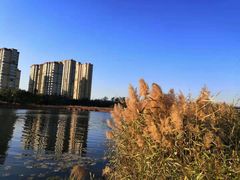 -郑州西亚斯学院-体育学院