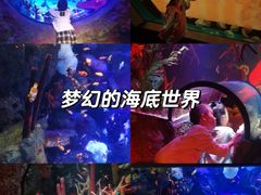 -沈阳海洋探索中心