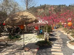 -桃源山庄·水蜜桃采摘·柴火鸡·烧烤团建(龙泉山店)