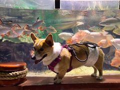 -太平洋海底世界