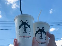 -TrueLove @ Neverland (Husky Cafe)
