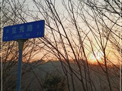 -羊山湖公园