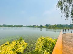 -东郊湿地公园
