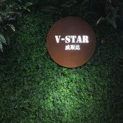 -V-STAR威斯达•高级私人定制
