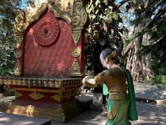 -瑞丽独树成林风景区