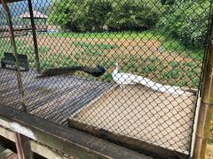 -龙川湾千岛湖国际垂钓中心