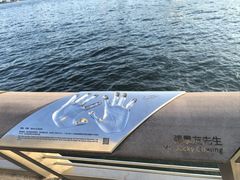 -星光大道