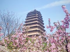 -大慈恩寺(大雁塔)