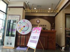 -宠爱国际动物医院· 猫科· 外科·中兽医(长白店)
