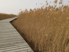 -野鸭湖国家湿地公园