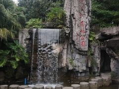 -广州市流溪河国家森林公园