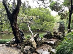 -叶家花园