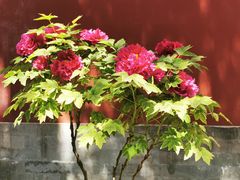 -COSTA COFFEE(金长安大厦店)