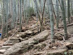 -莫干山风景区
