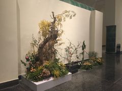 -北京大学赛克勒考古与艺术博物馆