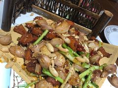 -东来菜馆•手抓海鲜家常菜•海鲜锅贴(鸽子窝店)