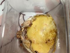 -原田新料理(1912店)