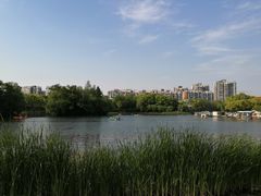 -新江湾城公园