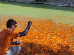 -楠溪江风景名胜区