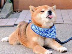 -新发现(苏州中心商场店)