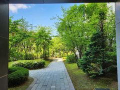 -桃花岭景区