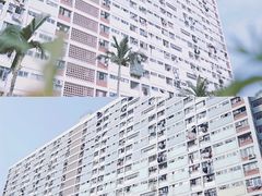 -彩虹村