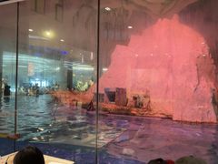 -帝企鹅自助餐厅•儿童岛•真企鹅(长隆企鹅酒店)