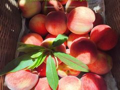 -乡村基(龙泉中街餐厅)