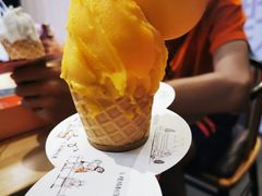 芒果-野人先生现做冰淇淋(北京顺义祥云小镇店)