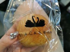 -BLACKSWAN黑天鹅(环球店)