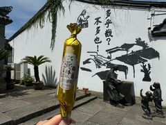 -绍兴鲁迅故里·沈园景区