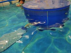 -雏芽婴幼儿游泳·小美医生小儿推拿(西村店)