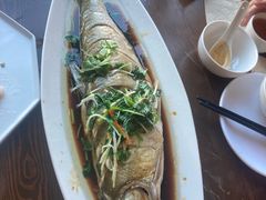 -浦江餐饮•上海菜馆(五四路店)