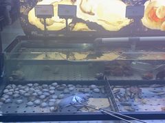 -韩盛·盛江山自助料理(沈辽路万达店)