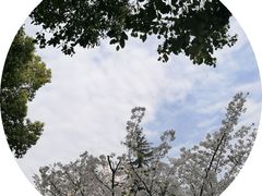 -堤角公园