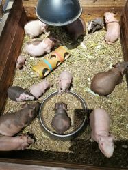 -酷嗒动物文化乐园(cutezoo西溪乐天城店)