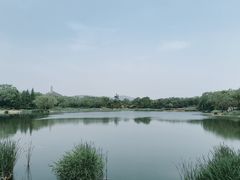 -北坞公园