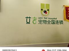 -艾吉宠物医院·疑难杂症转诊中心·猫友好(碧江路院)