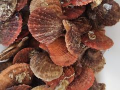 -沿海渔家院蒸汽海鲜·东北菜(东戴河店)