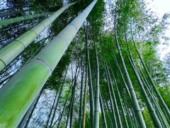 -青龙山国家森林公园